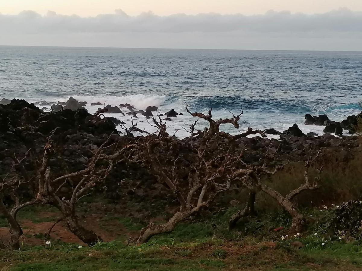 Vila A Casa Da Formosinha Madalena  Exteriér fotografie