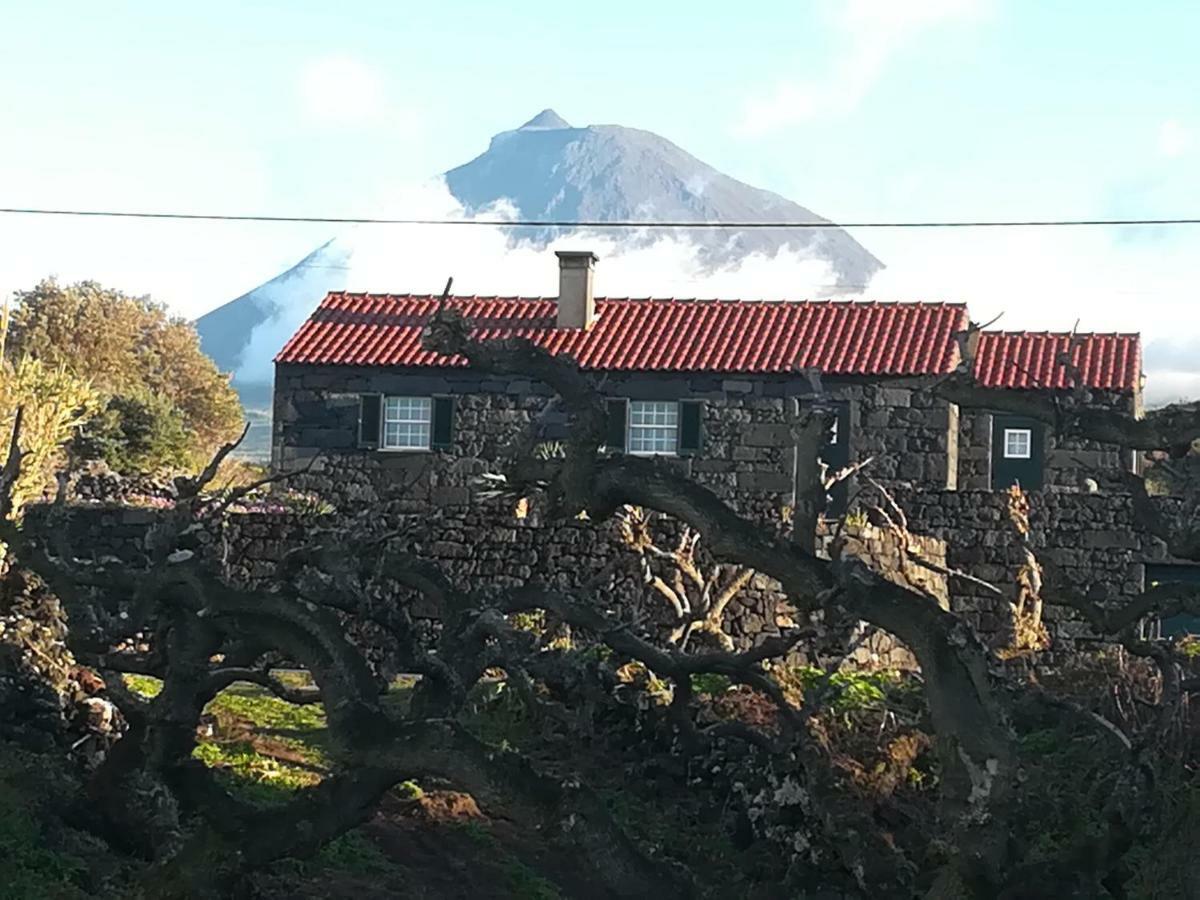 Vila A Casa Da Formosinha Madalena  Exteriér fotografie