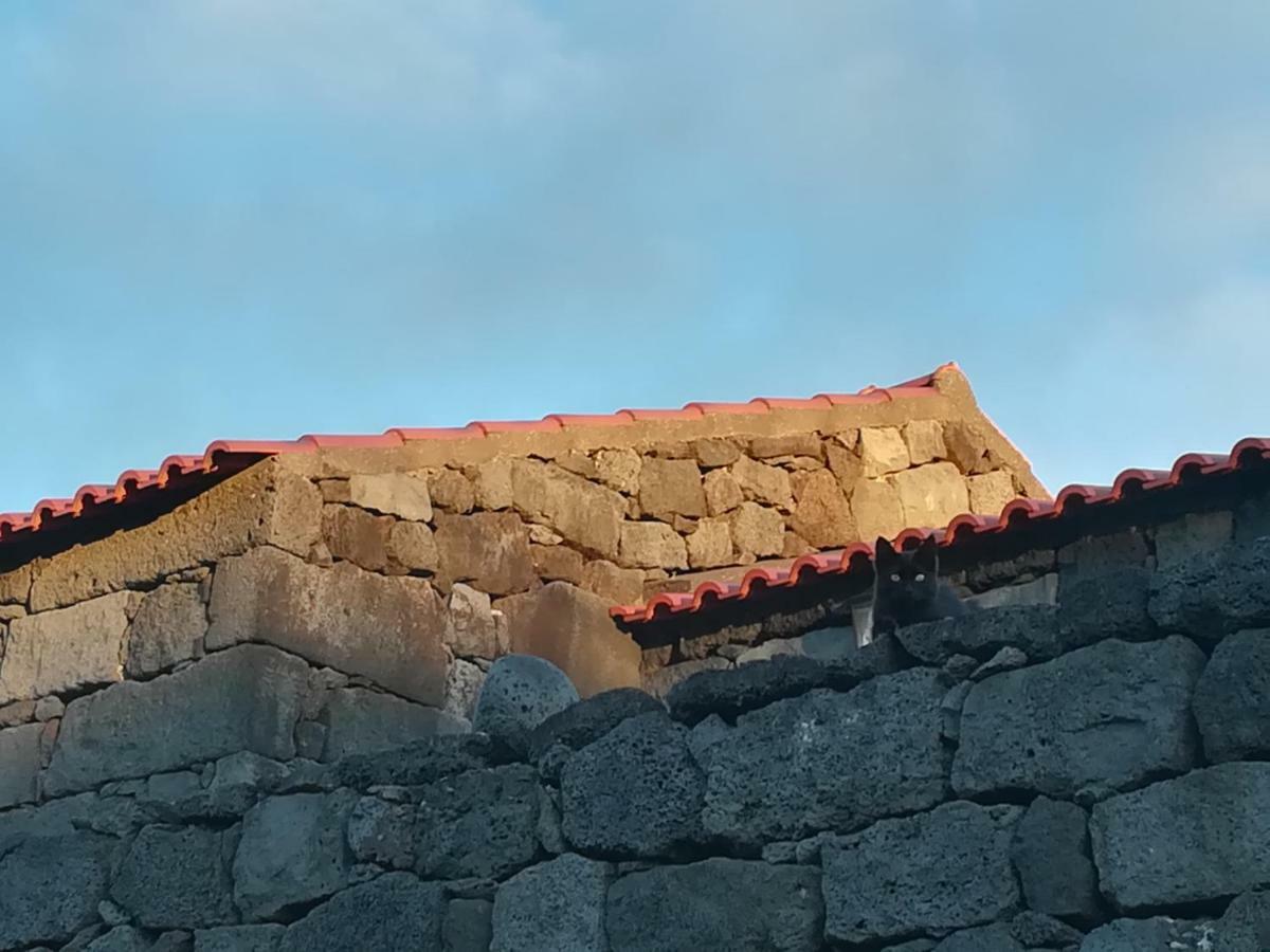 Vila A Casa Da Formosinha Madalena  Exteriér fotografie
